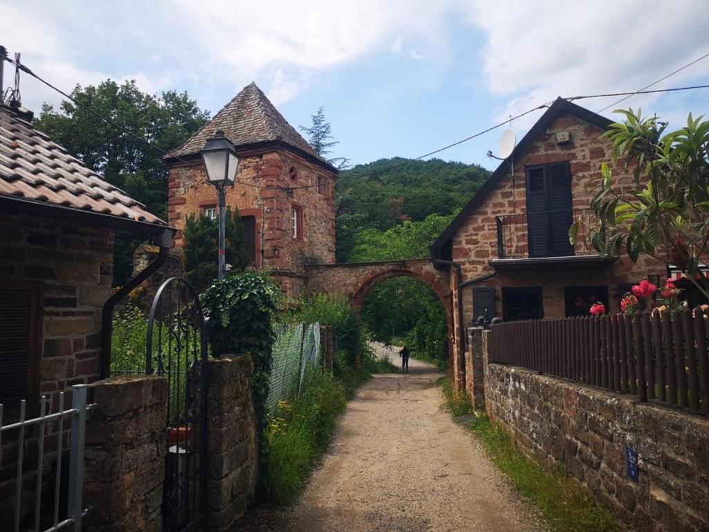 Wohnen Im Herzen Der Pfalz Neustadt an der Weinstraße エクステリア 写真