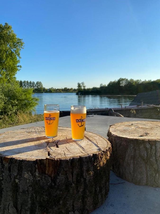 Wohnen Im Herzen Der Pfalz Neustadt an der Weinstraße エクステリア 写真